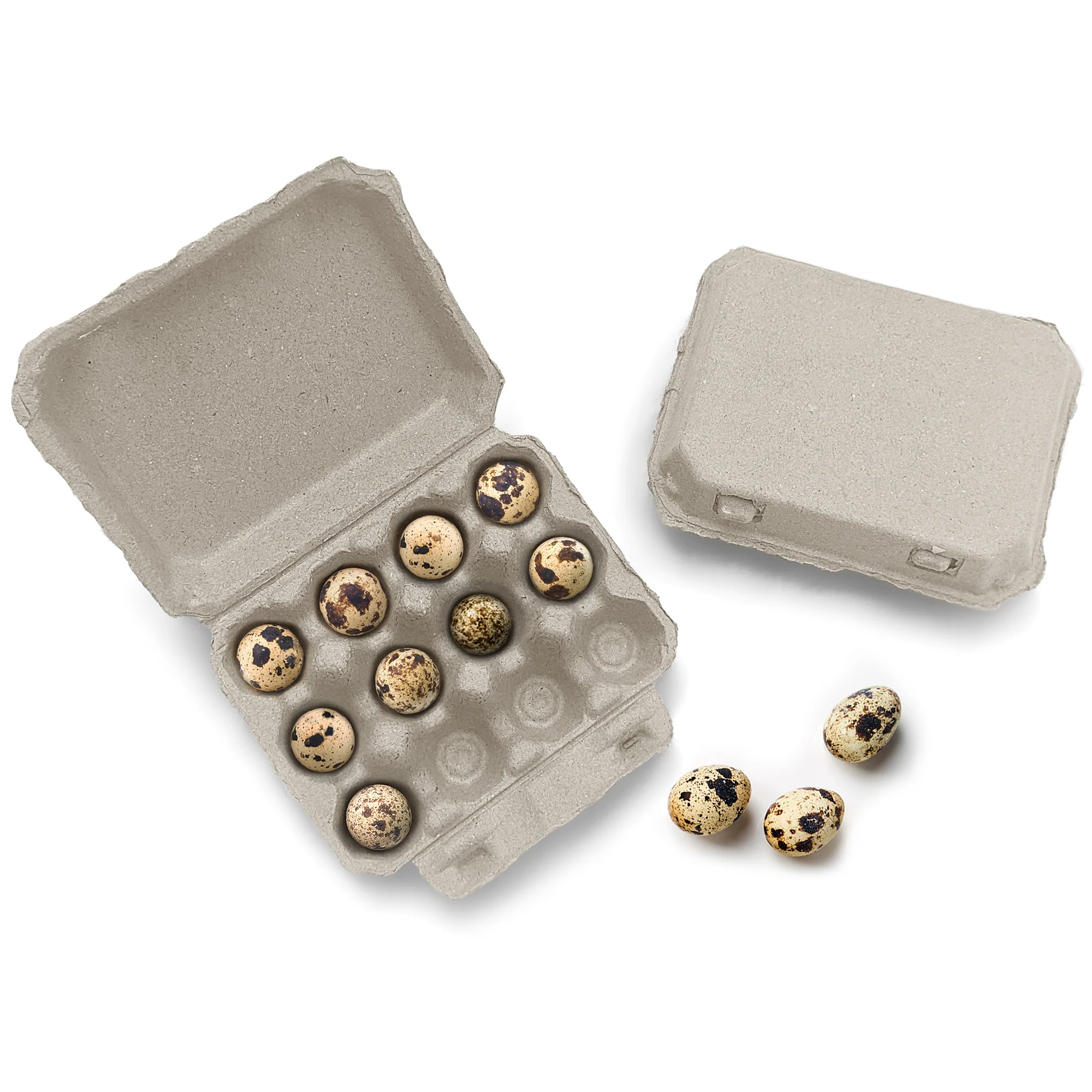 Henlay Quail 12-Egg Carton, 3x4 design, Qty 30, 144 - Buy Pet Shop