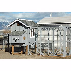 Bella Coop w/ Run Building Plans (6 chickens) - Buy Pet Shop
