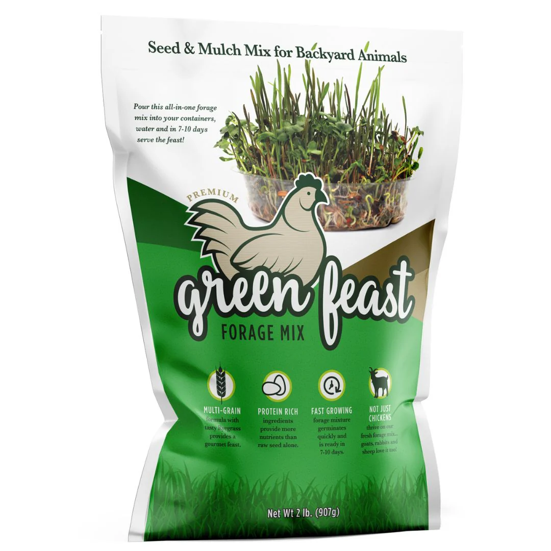 Amturf Green Feast Forage Mix, 2 LB bag - Buy Pet Shop