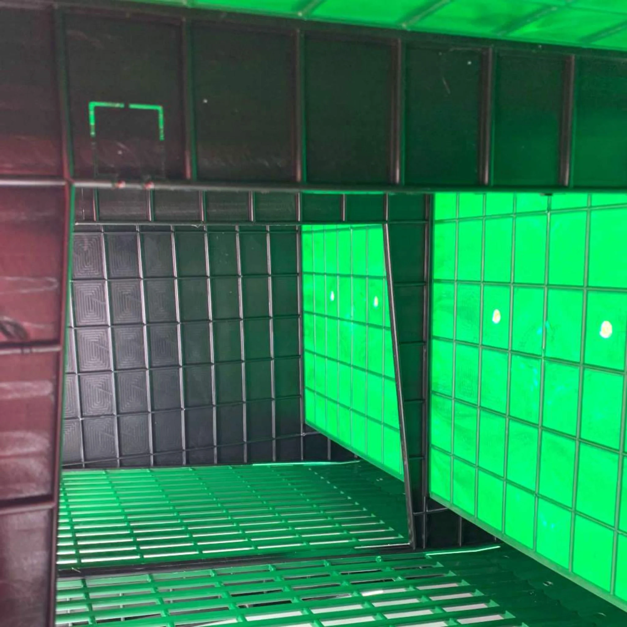 Back Collection Nesting Box - 6 Sections - Buy Pet Shop