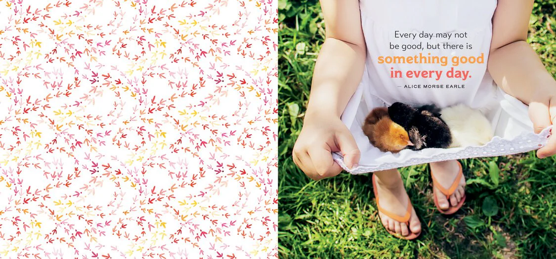 Chicken Wisdom Frame-Ups - Buy Pet Shop