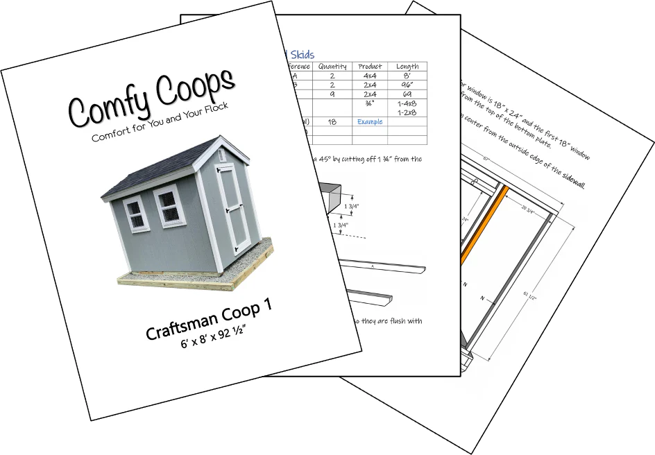 Easy Chicken Coop Plans 6x8 (Up to 20 Chickens) - Buy Pet Shop