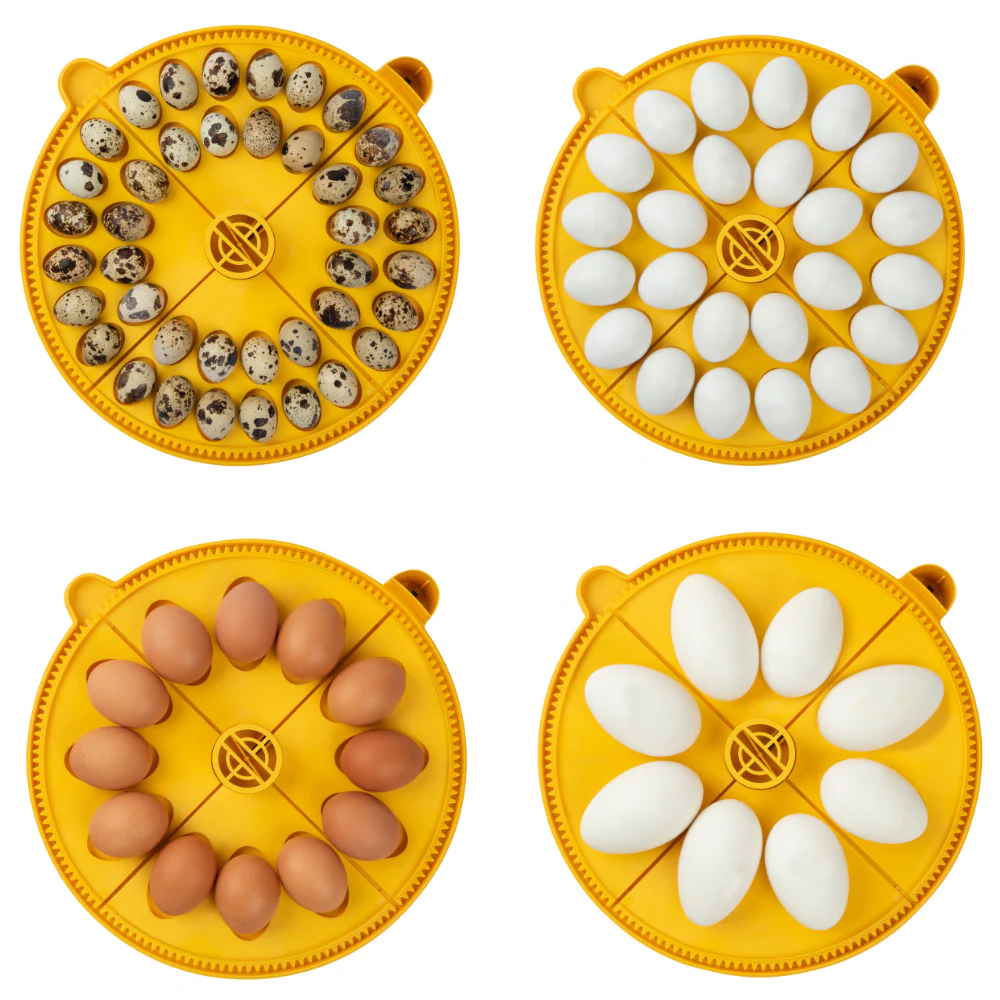 Brinsea Maxi 24 Advance EX Fully Automatic Digital Incubator (24 eggs) - Buy Pet Shop