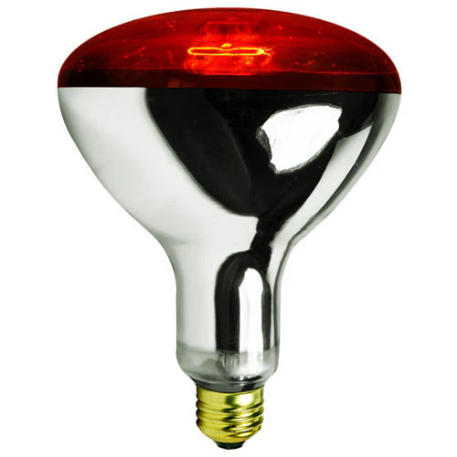 Infrared Heat Lamp Bulb, Red - Buy Pet Shop
