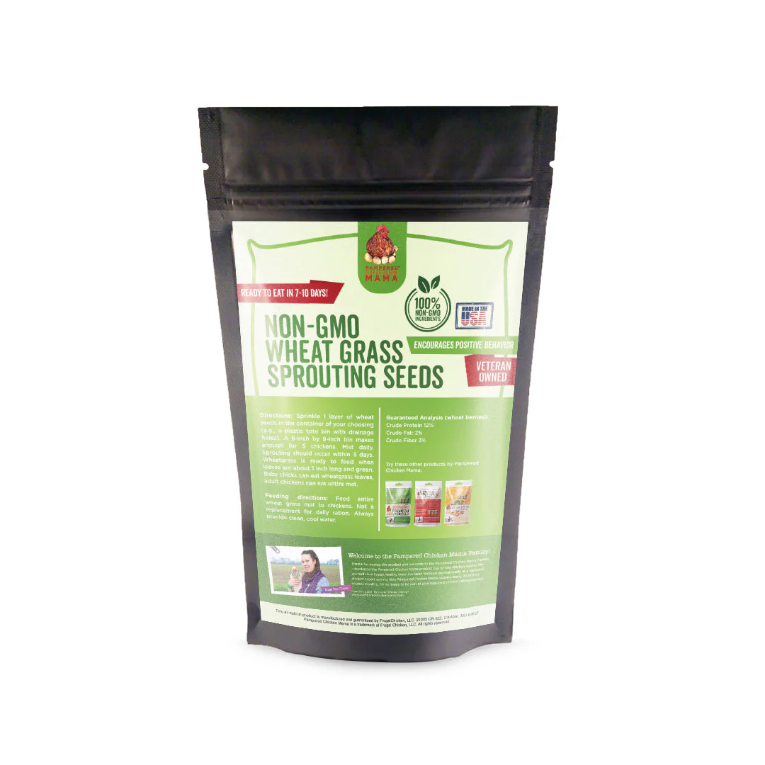 Non-GMO Wheat Seeds for Sprouting Fodder (Wheat Grass) -- Sustainably Grown In Missouri To Encourage Positive Behaviors - Buy Pet Shop