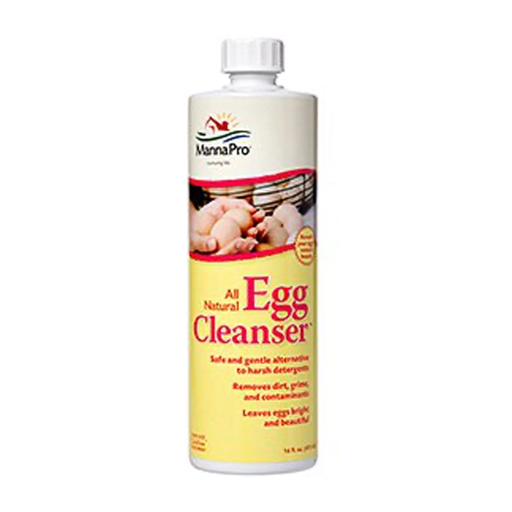 Egg Cleanser Concentrate, 16 oz - Buy Pet Shop
