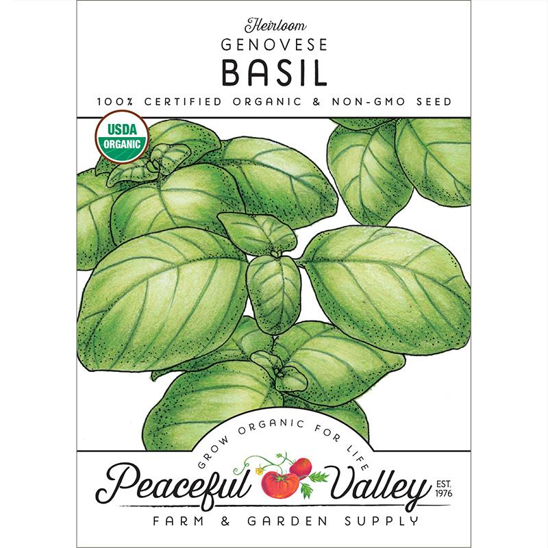 Genovese Basil Seeds (Organic) - Buy Pet Shop