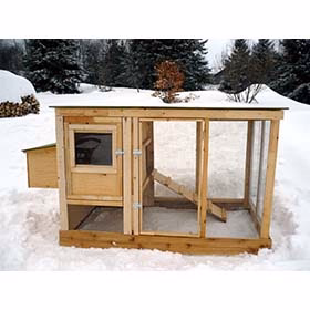 Urban Chicken Coop Plans (up to 4 chickens) - Buy Pet Shop