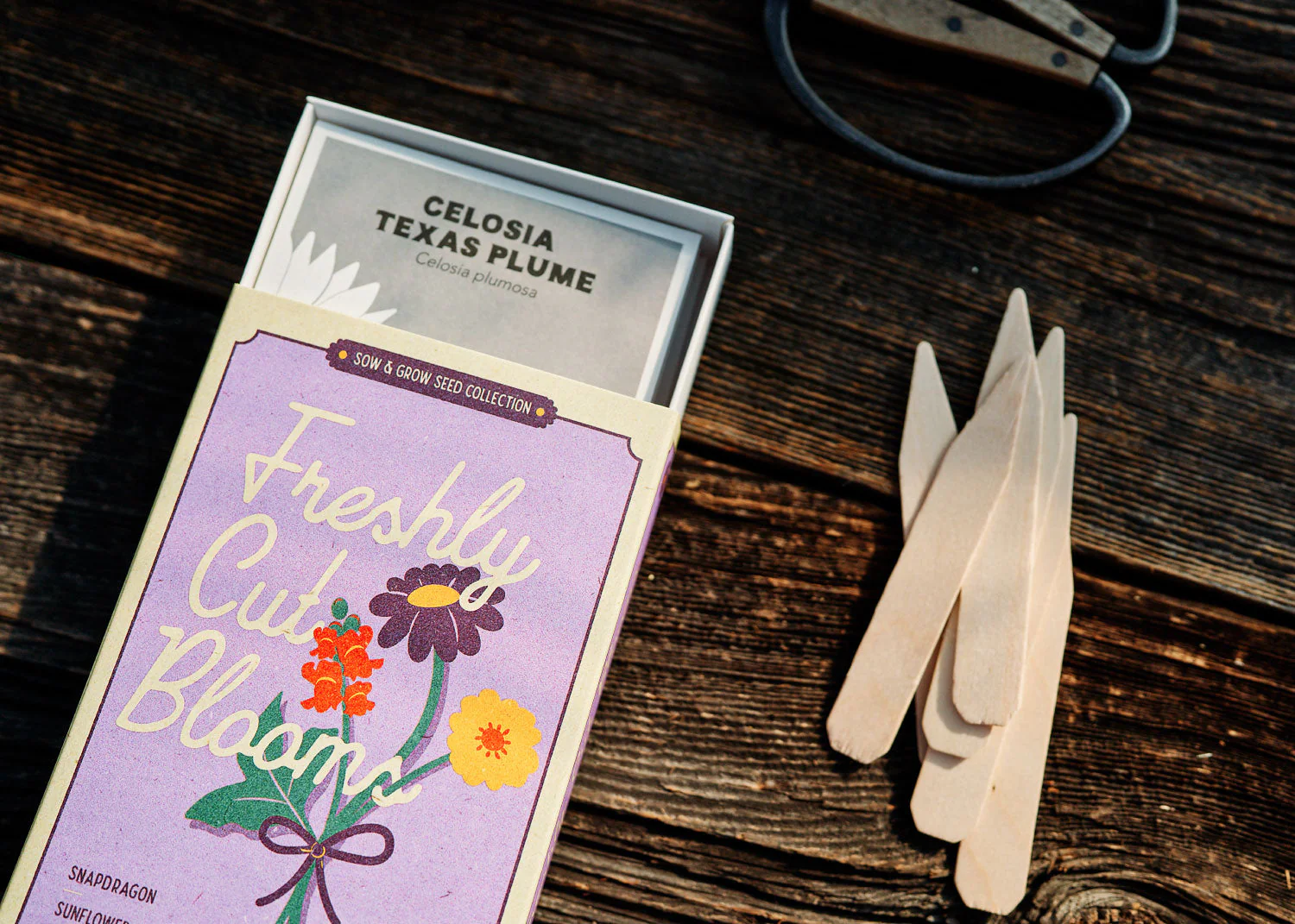 Freshly Cut Blooms - Seed Collection - Buy Pet Shop