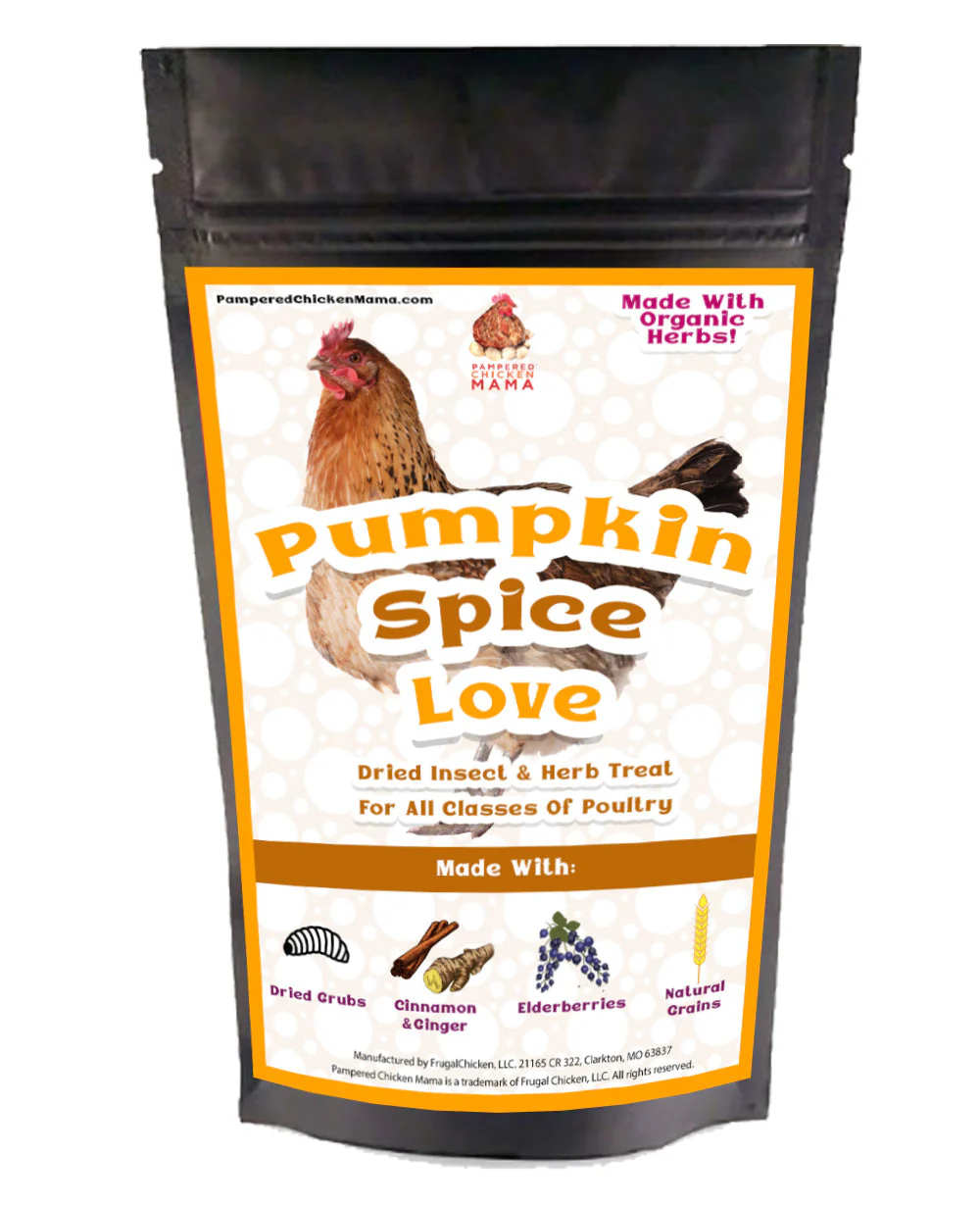 Pumpkin Spice Love Textured Treat For Pet Poultry - Buy Pet Shop