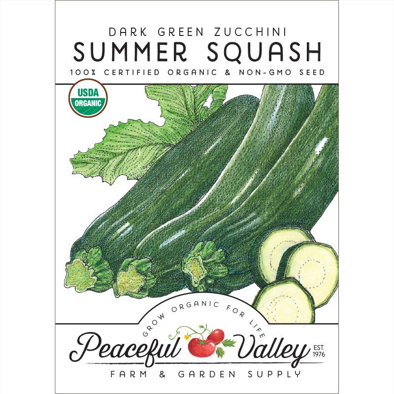 Dark Green Zucchini Summer Squash Seeds (Organic) - Buy Pet Shop