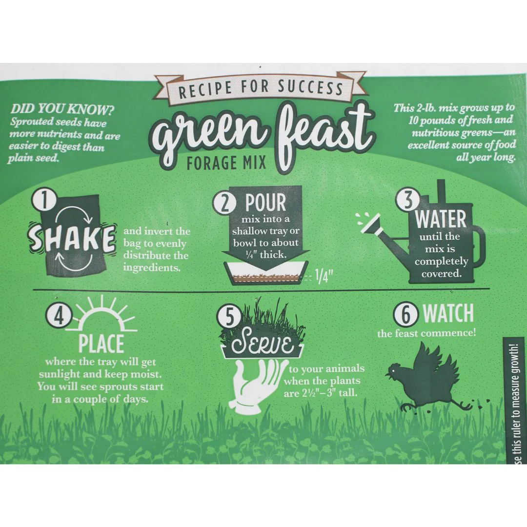 Amturf Green Feast Forage Mix, 2 LB bag - Buy Pet Shop