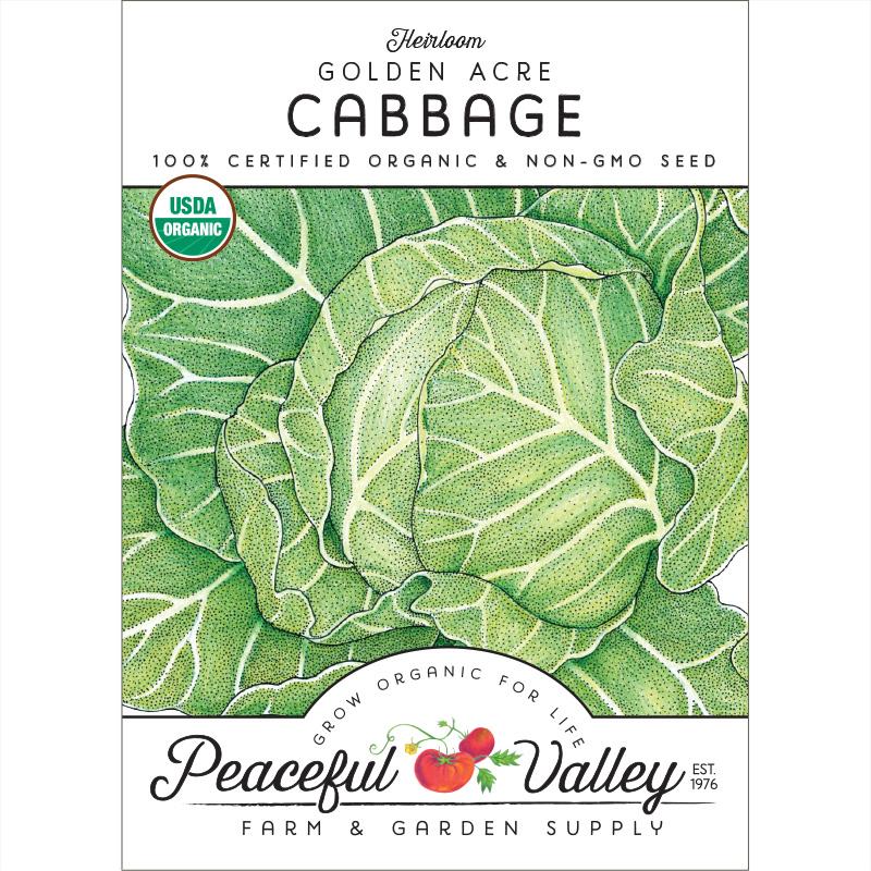 Golden Acre Cabbage Seeds (Organic) - Buy Pet Shop