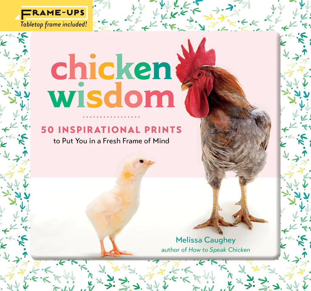 Chicken Wisdom Frame-Ups - Buy Pet Shop