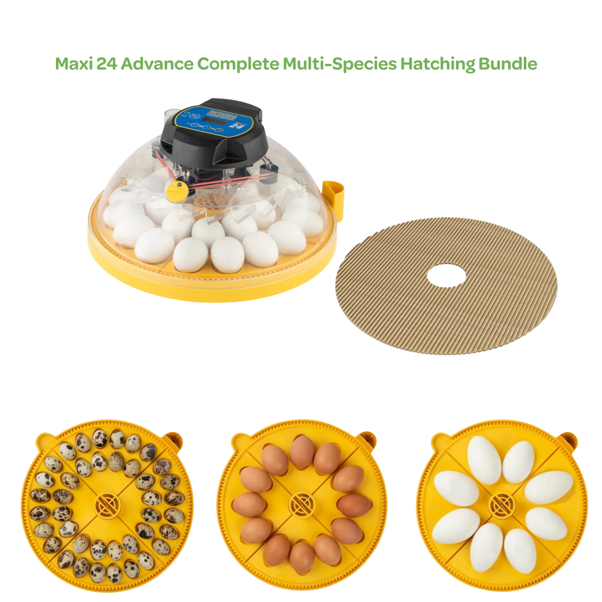 Maxi 24 Advance Complete Multi-Species Hatching Bundle - Buy Pet Shop