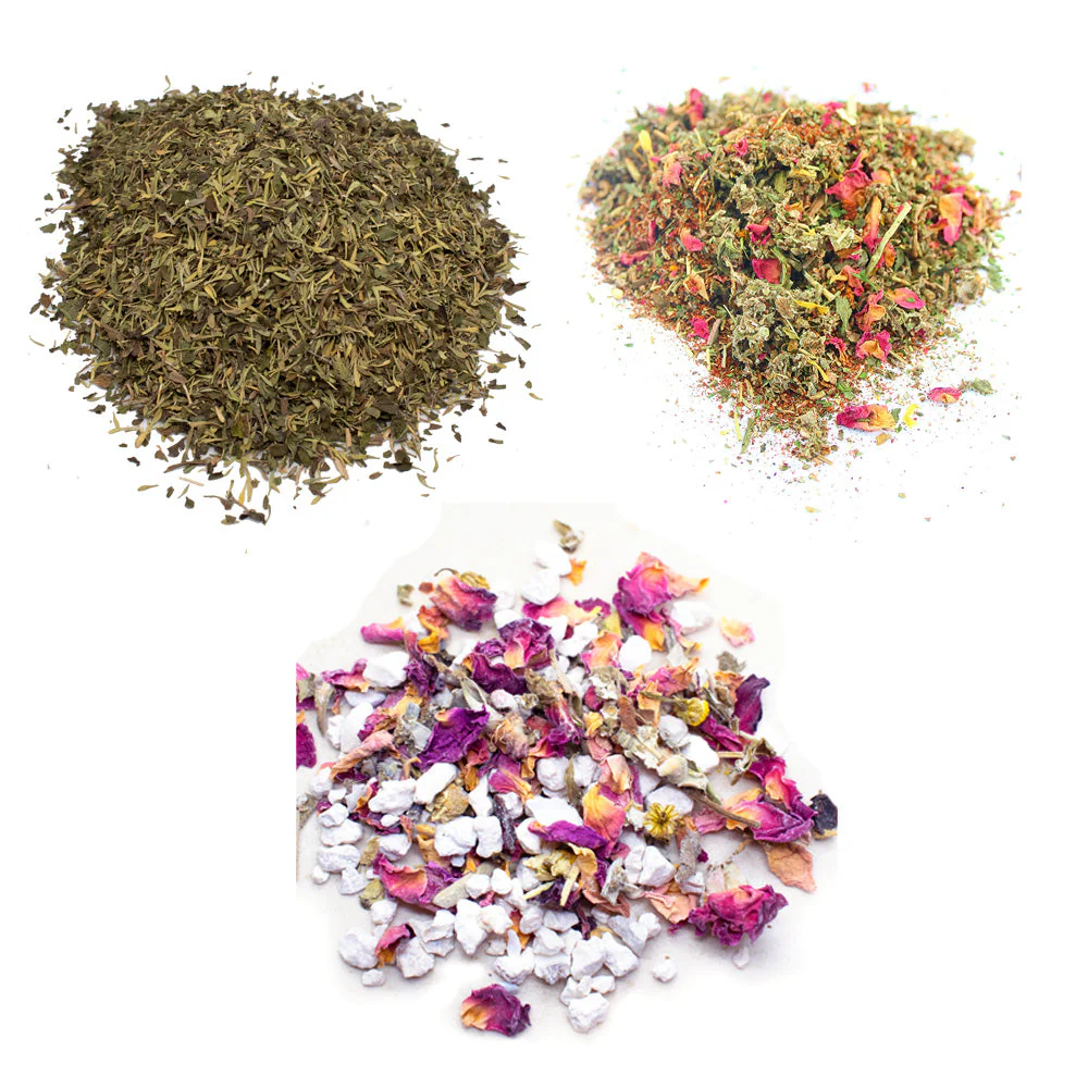 WormBGone Healthy Coop Bundle : 3 Products Chickens Love! (5 pounds total) - Buy Pet Shop