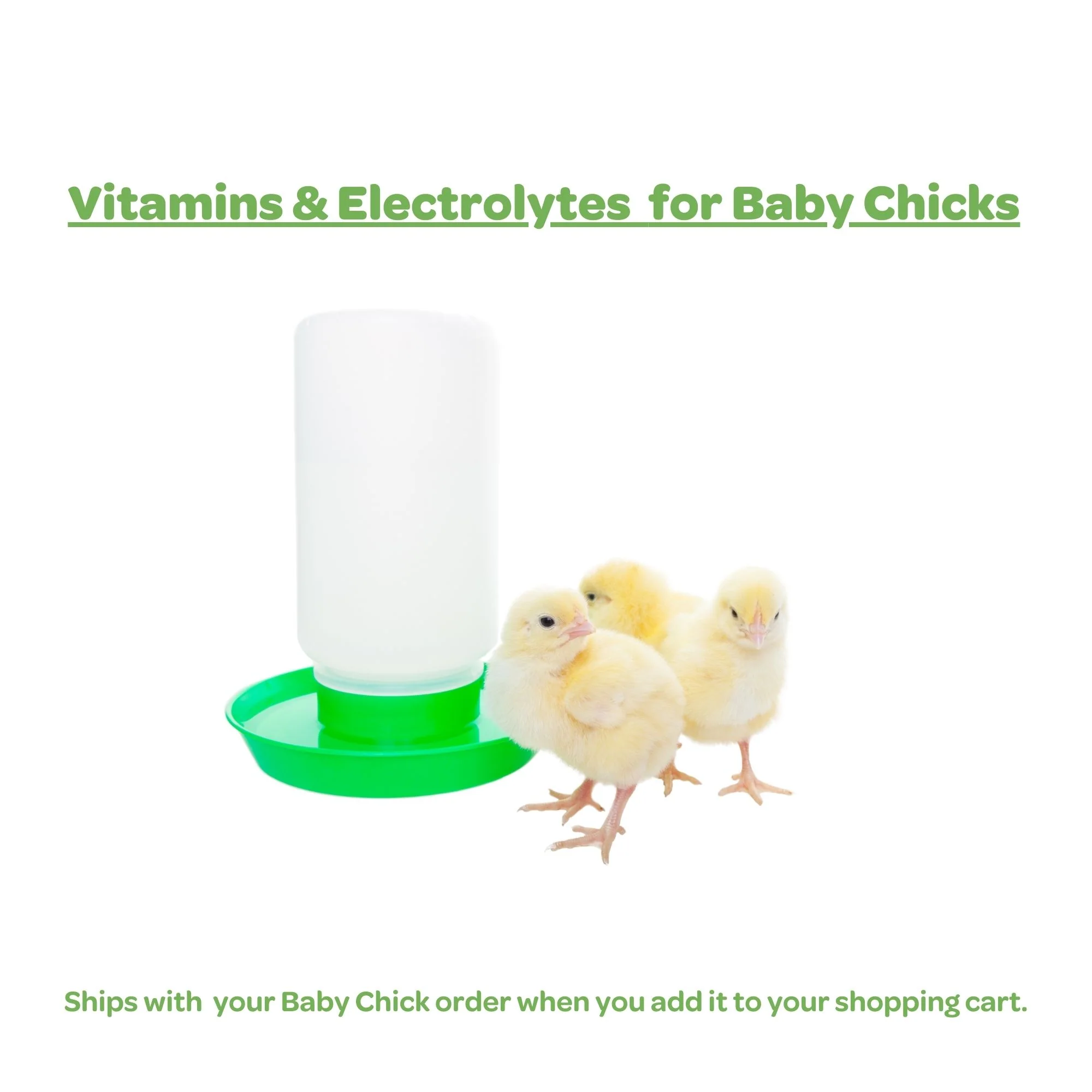 BVS Vitamins and Electrolytes, 4 oz Concentrate: Chick Order Add On - Buy Pet Shop