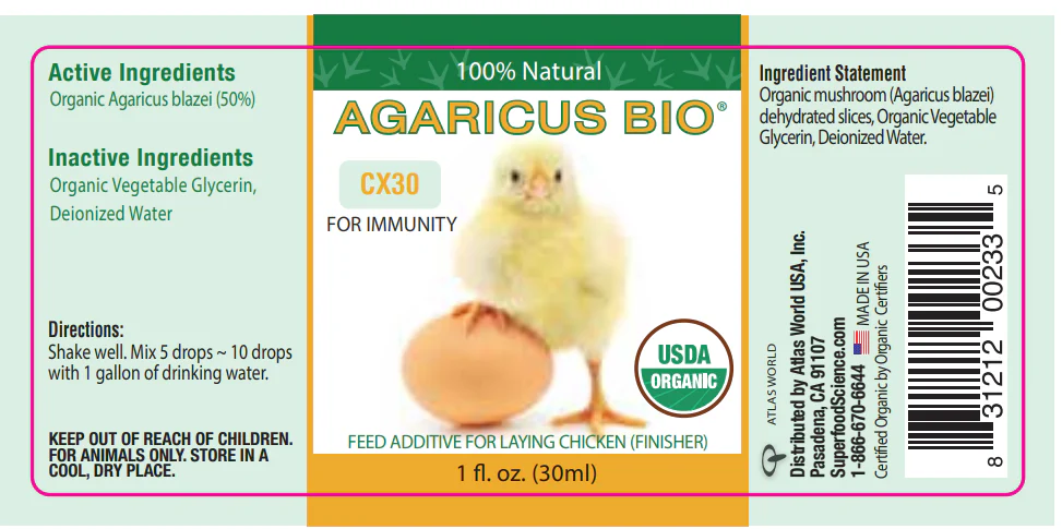 Agaricus Mushroom Extract for Immune Health, 1 oz. - Buy Pet Shop