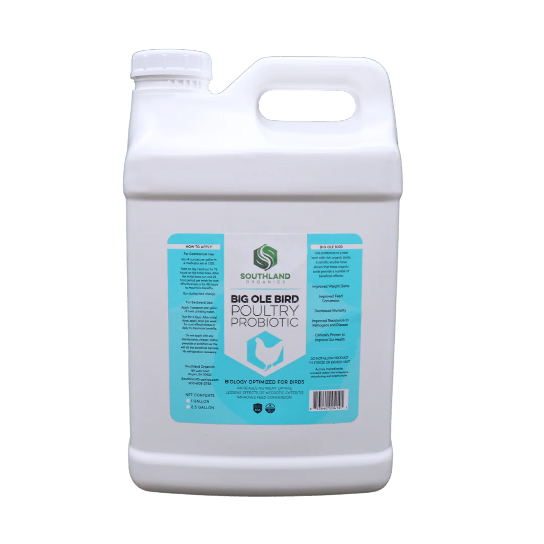 Big Ole Bird | Probiotics for Poultry - Buy Pet Shop