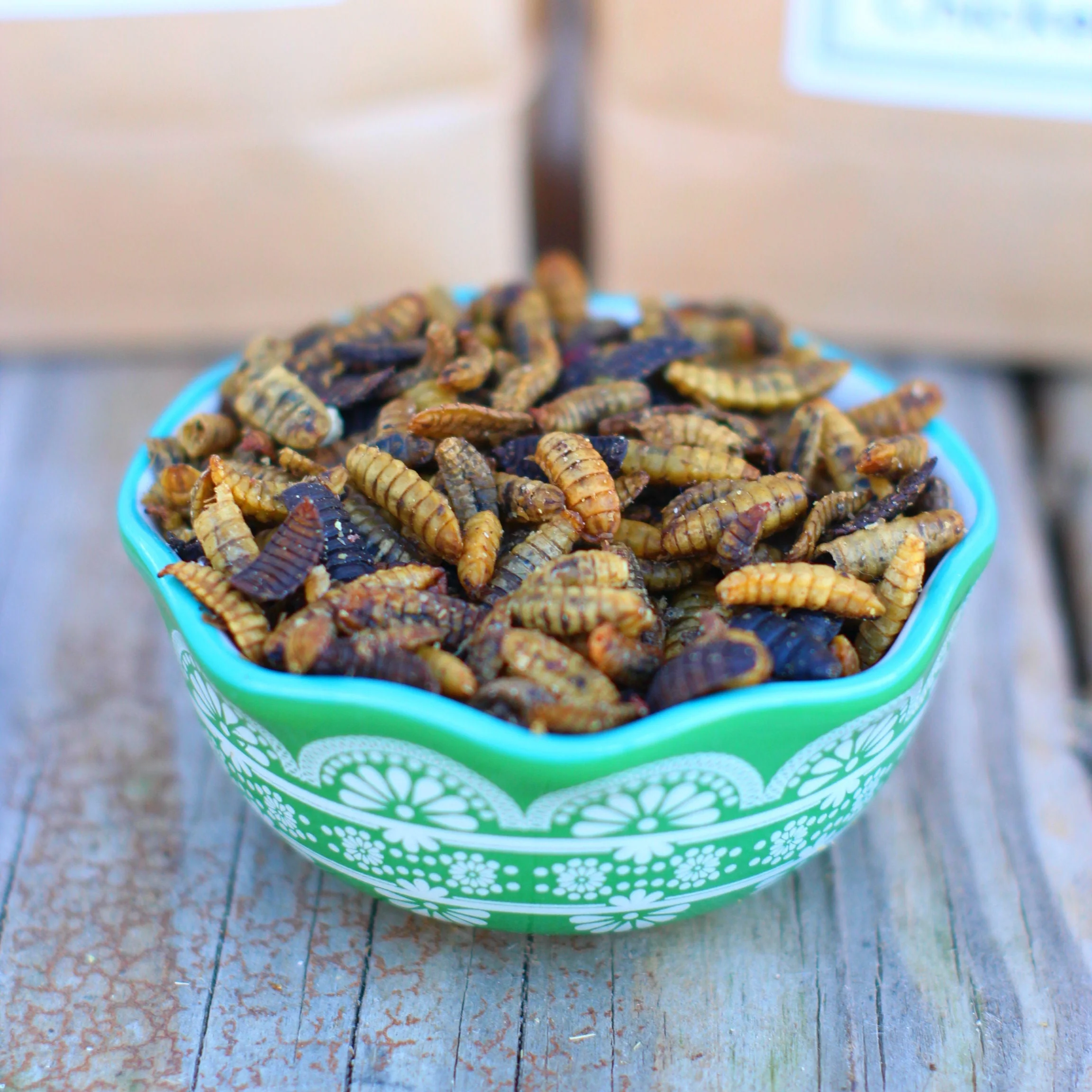 Black Soldier Fly Larvae (From NORTH AMERICA!!) -- LoveBugs For Hens (TM) - Buy Pet Shop