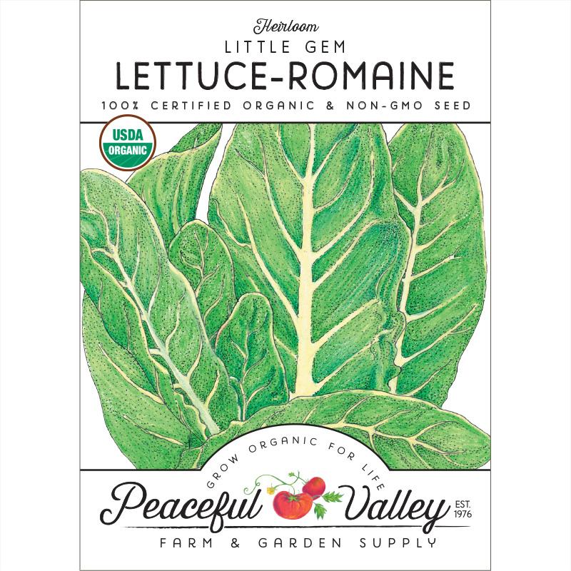 Little Gem Lettuce Seeds (Organic) - Buy Pet Shop