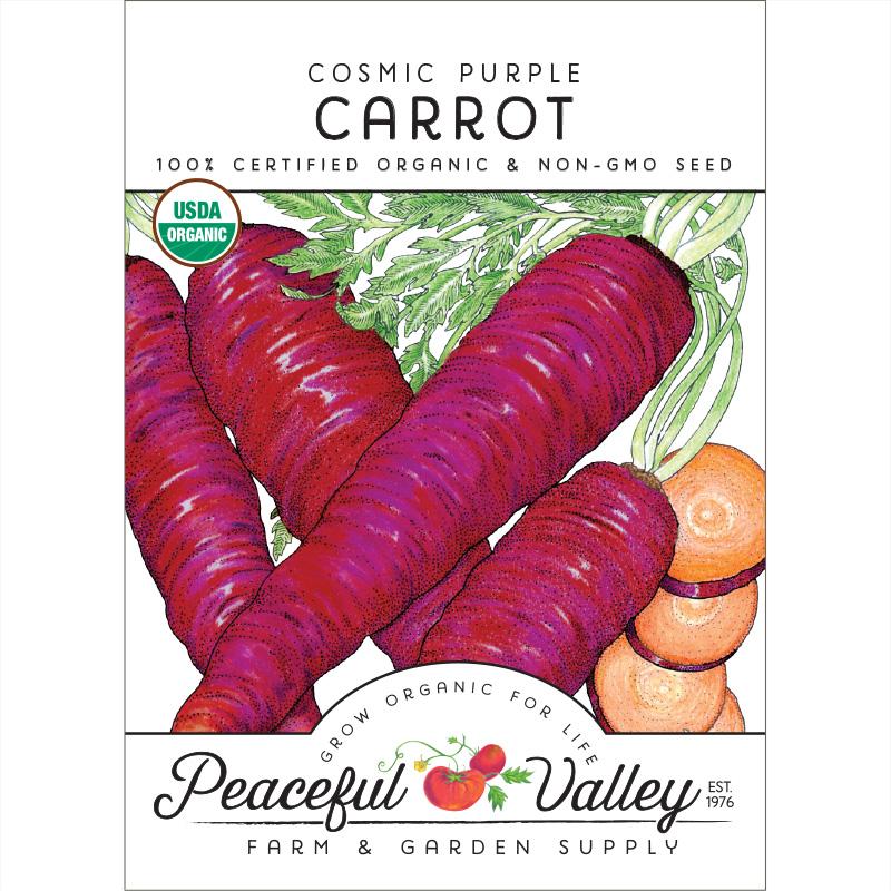 Cosmic Purple Carrot Seeds (Organic) - Buy Pet Shop