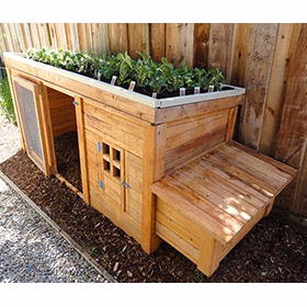 Herb Garden Coop Plans (up to 4 chickens) - Buy Pet Shop