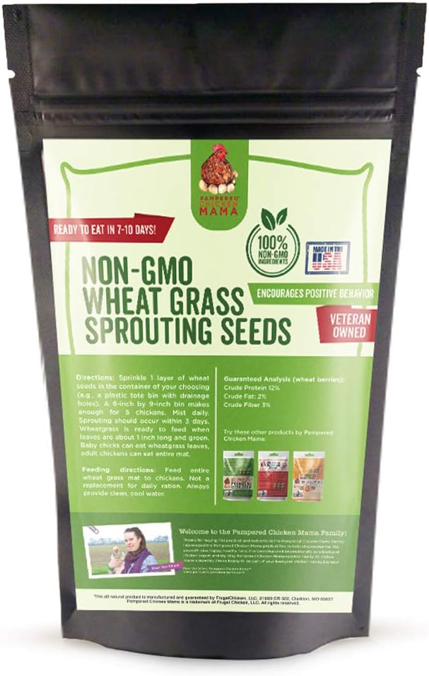 Non-GMO Wheat Seeds for Sprouting Fodder (Wheat Grass) -- Sustainably Grown In Missouri To Encourage Positive Behaviors - Buy Pet Shop