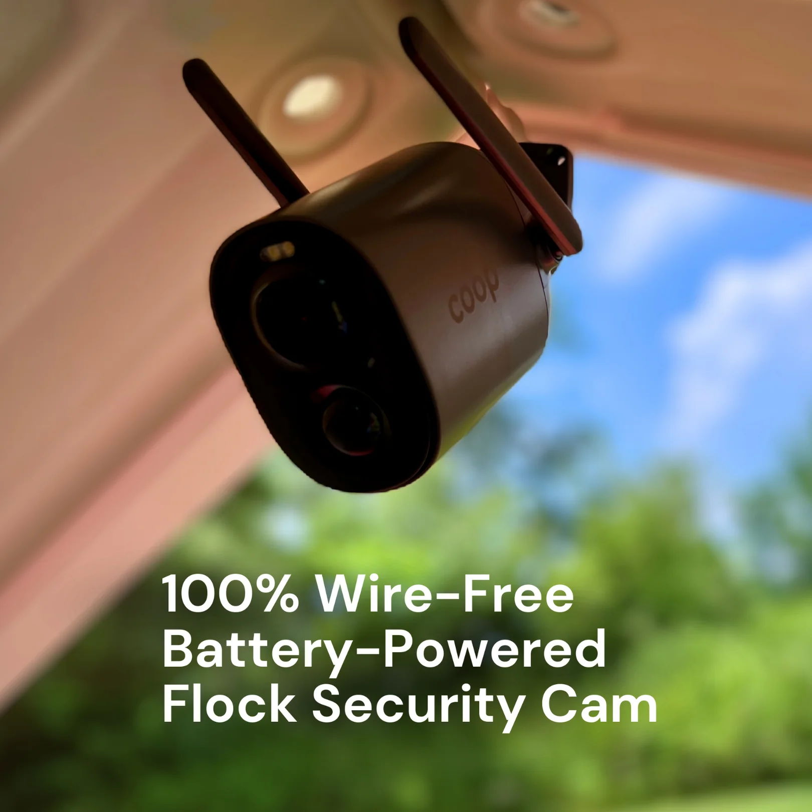 EggsteinAI CoopCam: 24/7 Flock Security - Buy Pet Shop