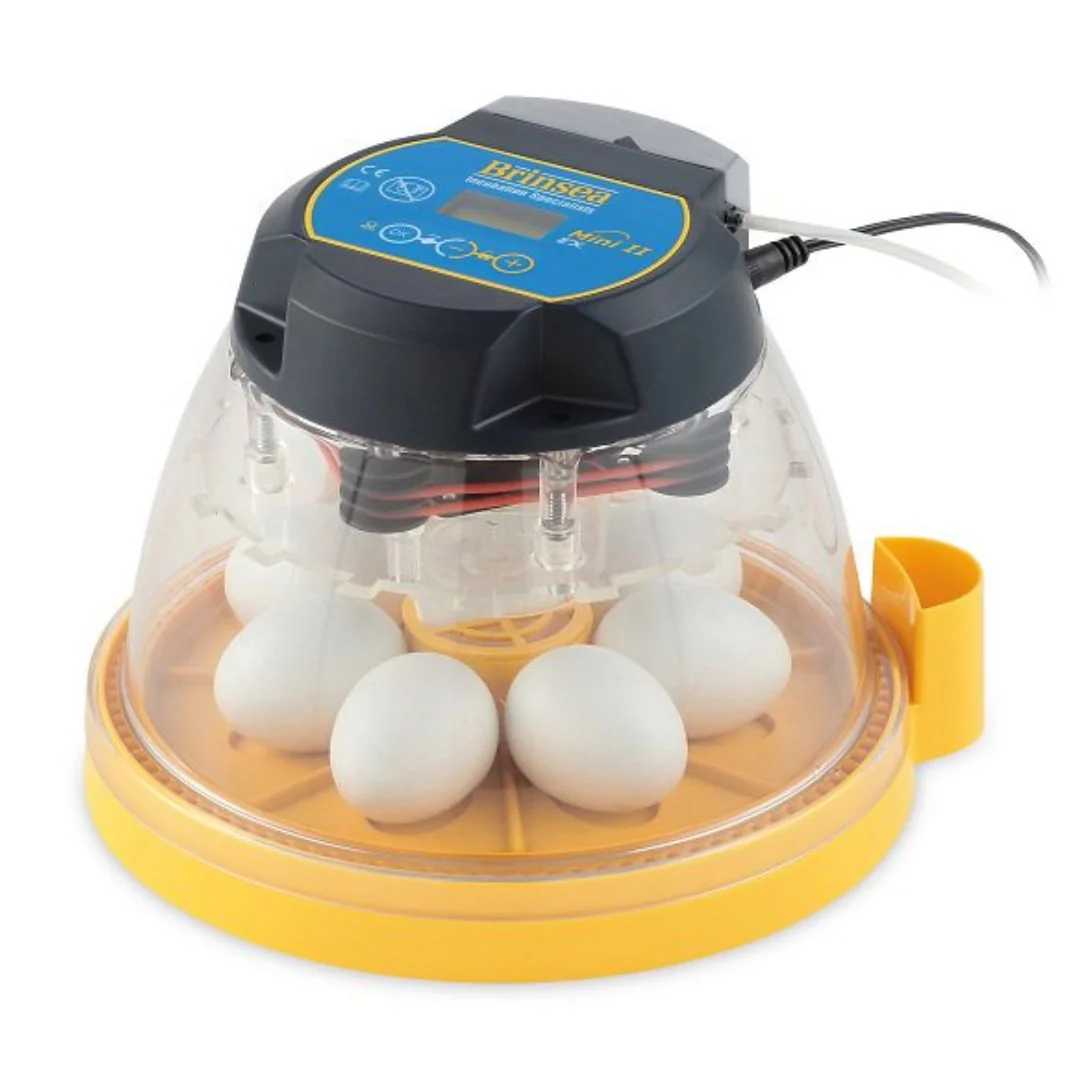 Mini II Advance Incubator (7 Eggs) - Buy Pet Shop