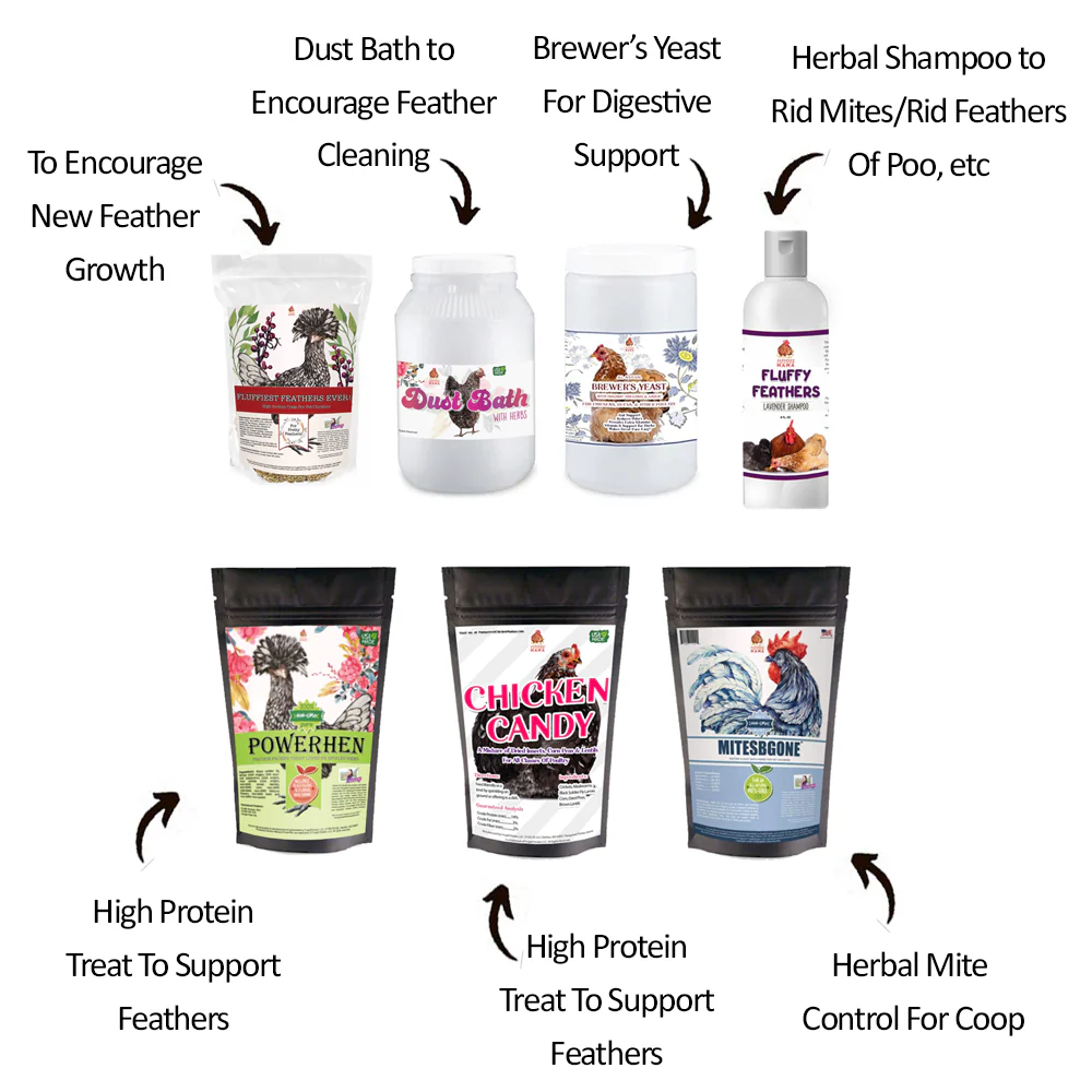 Great Feathers Bundle: Bundle of 7 products so your hens have great, fluffy feathers! (14 pounds total) - Buy Pet Shop
