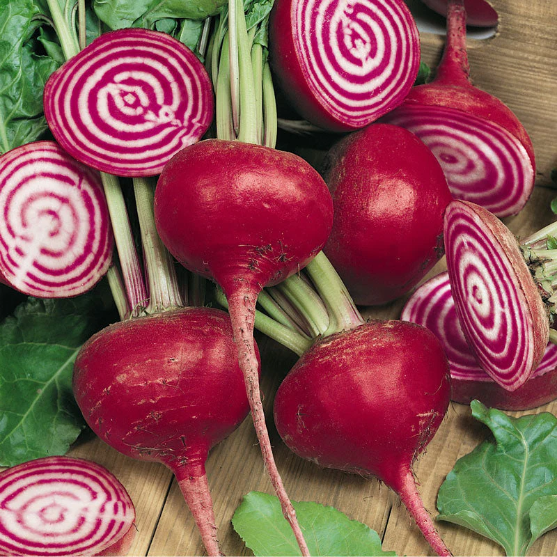 Chioggia Beet Seeds (Organic) - Buy Pet Shop