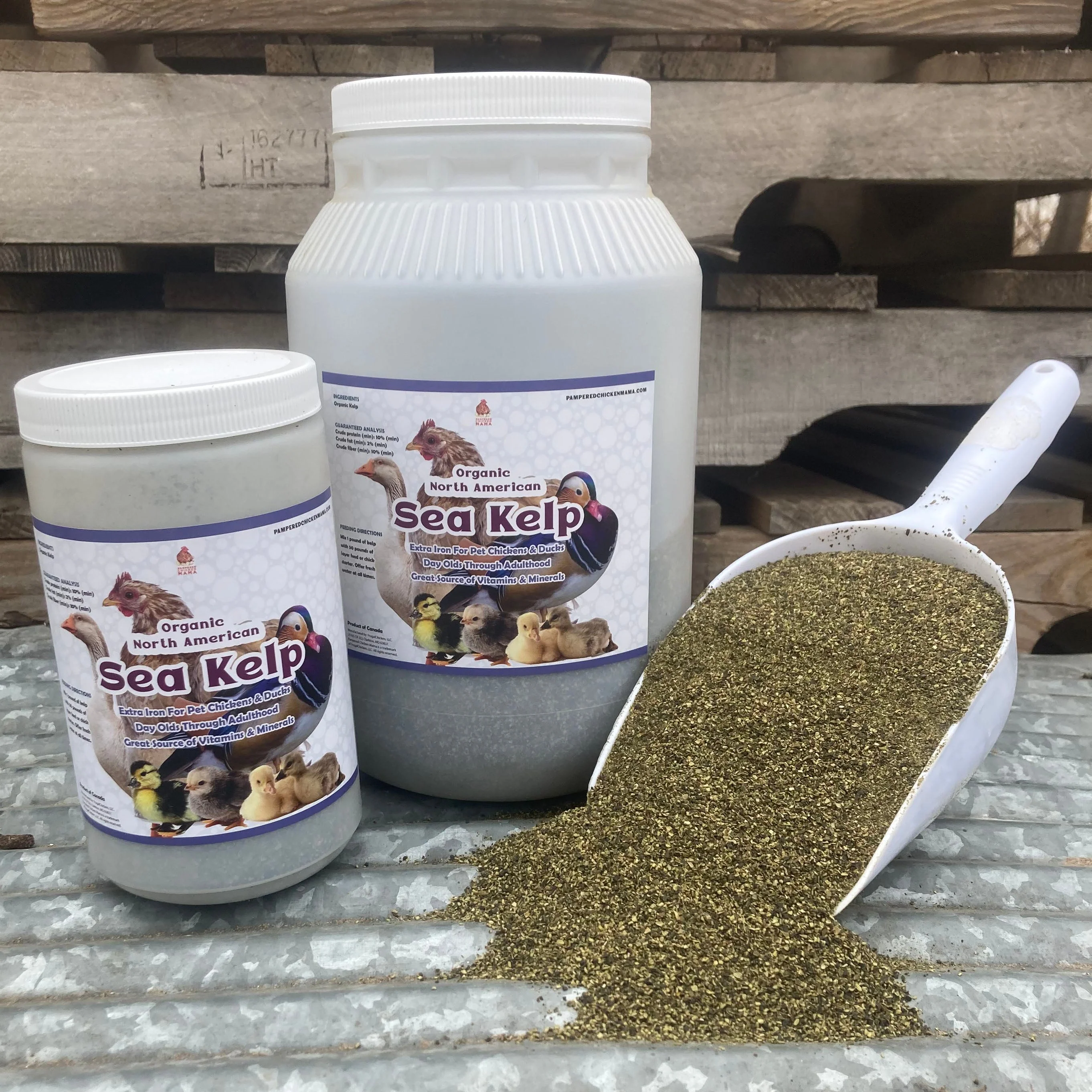 North Atlantic Kelp For Extra Vitamins, Minerals, & Amino Acids For Pet Chickens & Ducks - Buy Pet Shop