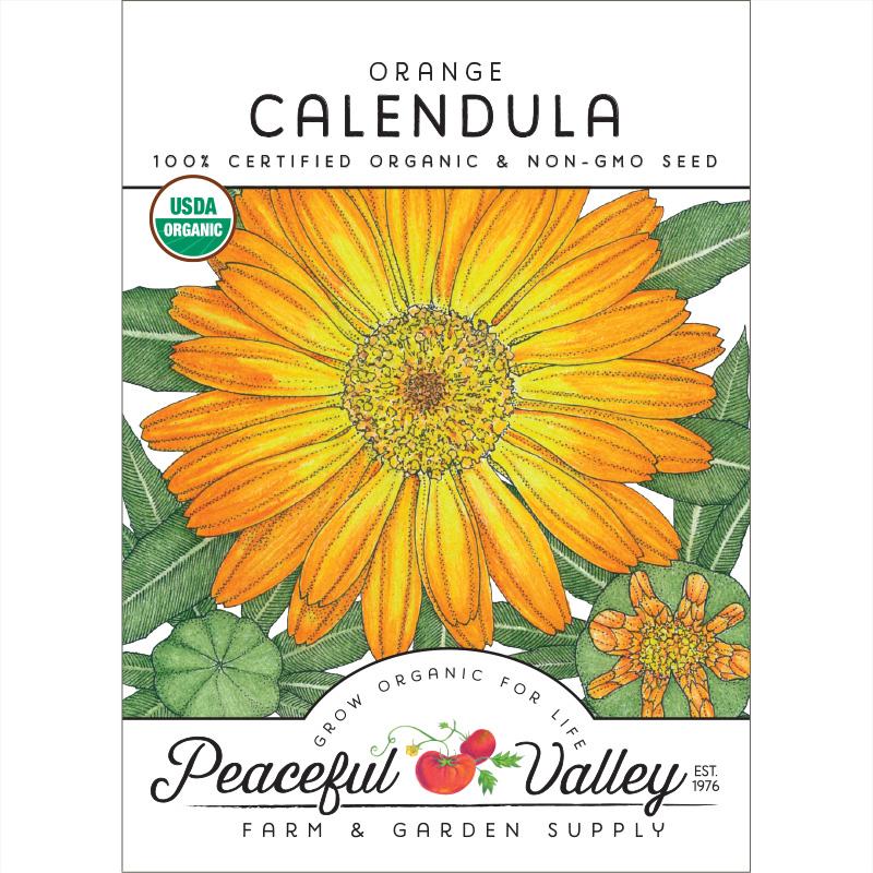 Orange Calendula Seeds (Organic) - Buy Pet Shop