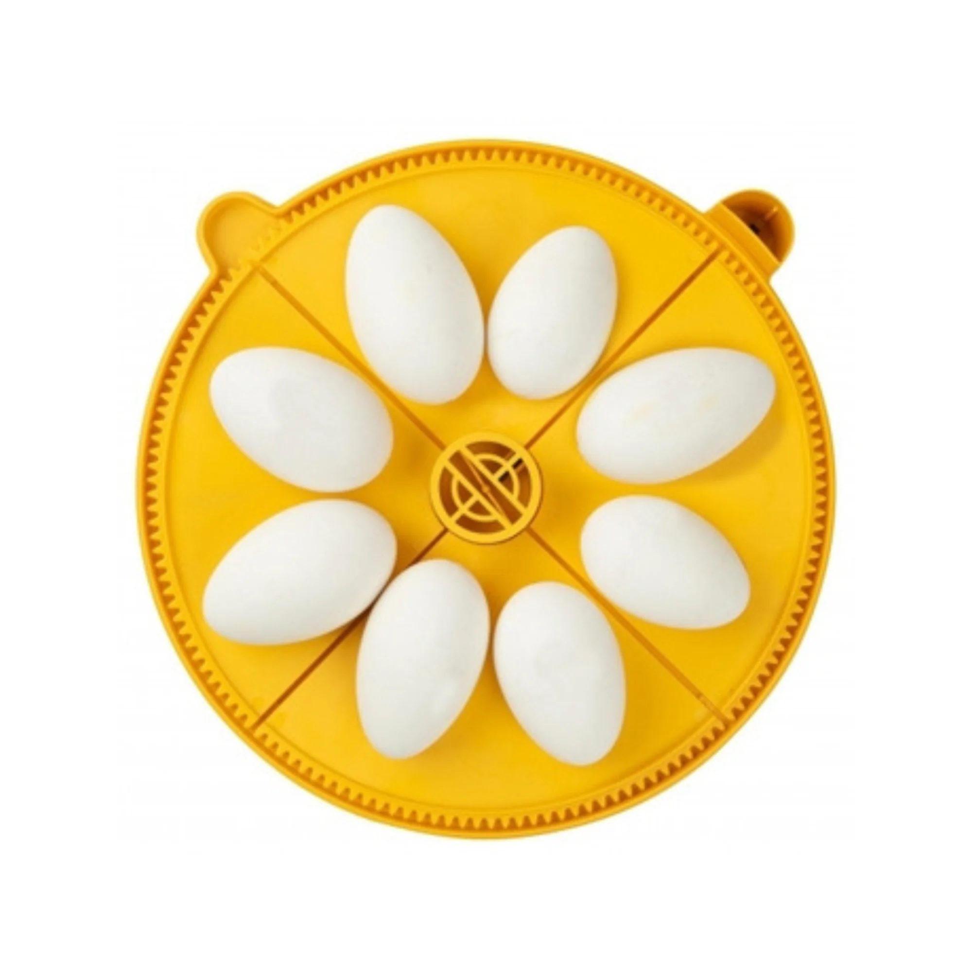 Brinsea Maxi Extra Large Egg Insert (8 goose eggs) - Buy Pet Shop