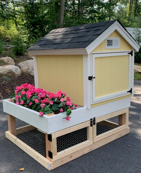 Easy Garden Chicken Coop Plans 4X5 (8-10 Chickens) - Buy Pet Shop