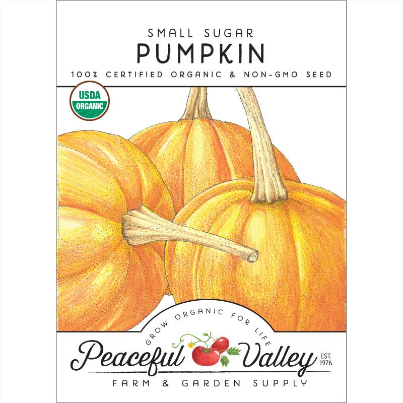 Small Sugar Pumpkin Seeds (Organic) - Buy Pet Shop