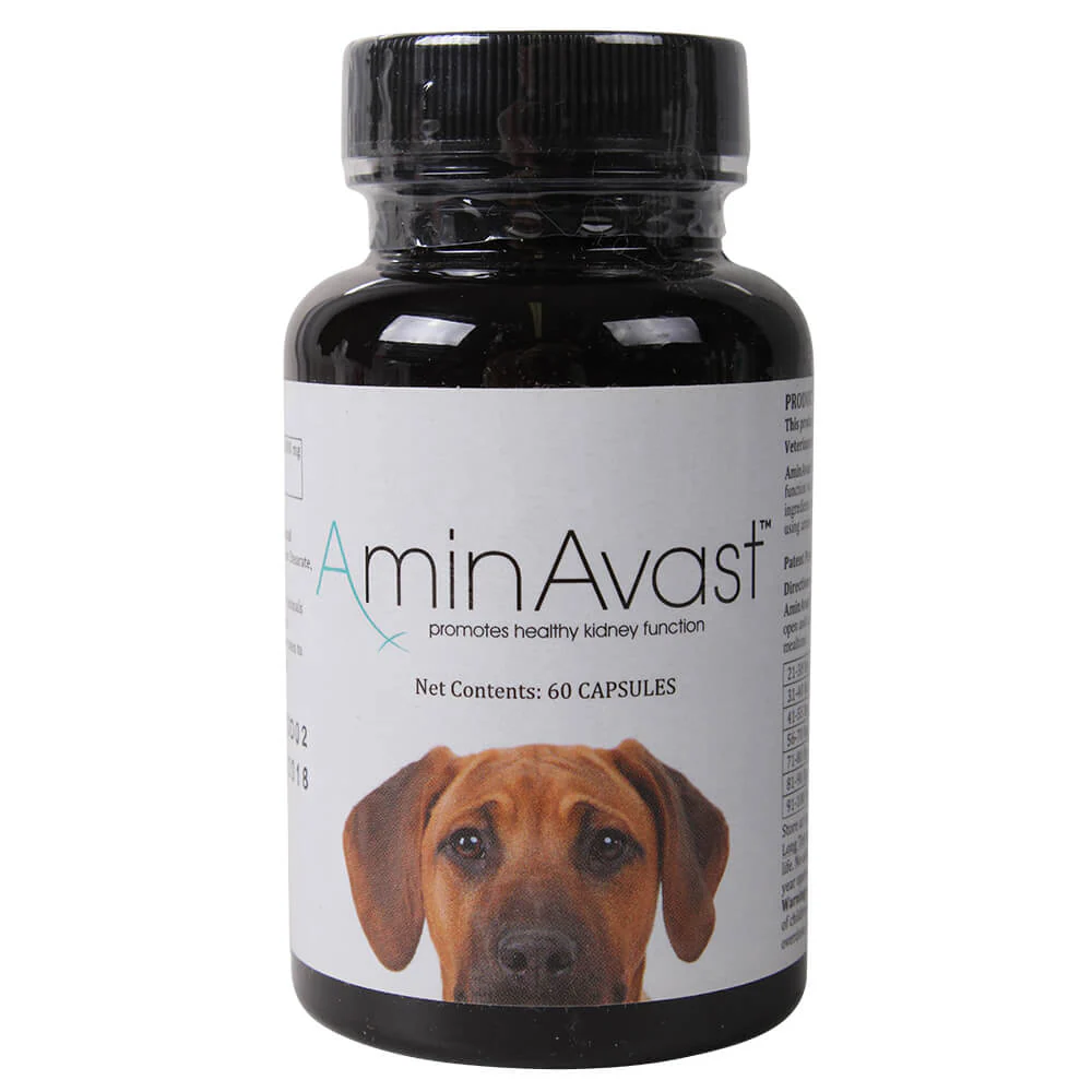 AminAvast Canine (formally called Renavast) - Buy Pet Shop