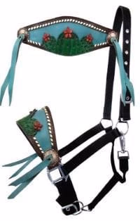 Showman Painted Cactus & 3D Flower Bronc Halter - Buy Pet Shop