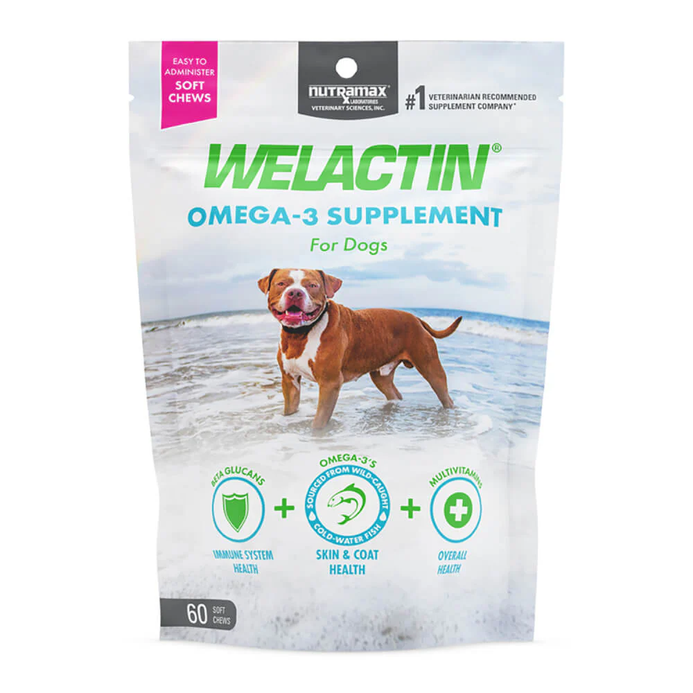 Nutramax Welactin Daily Omega-3 Supplement For Dogs, 60 Soft Chews - Buy Pet Shop