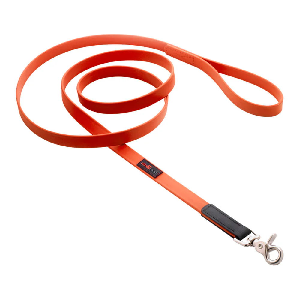 Ultrahund Boss Regular Leash, 6' Long - Buy Pet Shop