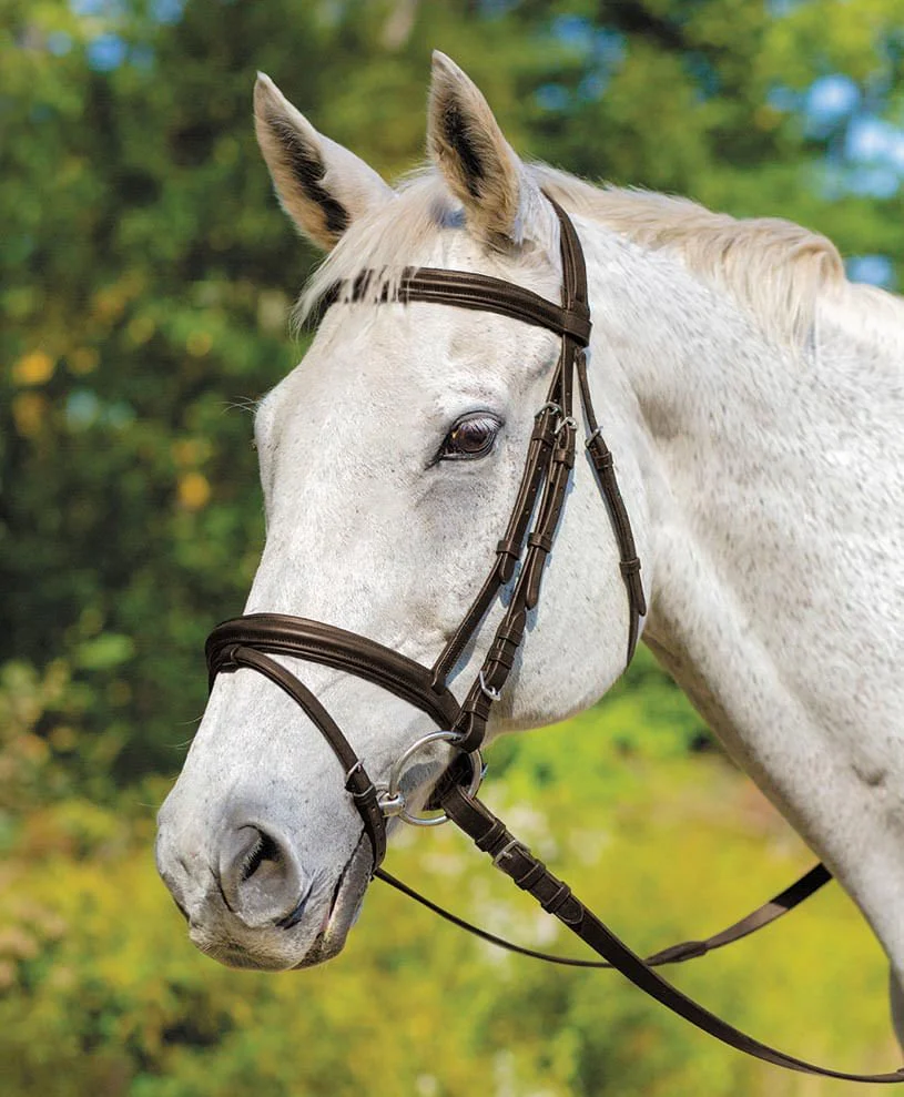Shires Avignon Louisville Bridle - Buy Pet Shop