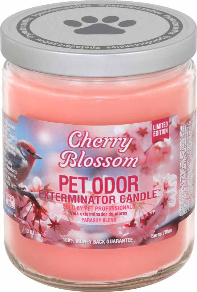 Pet Odor Exterminator Candle, Cherry Blossom, 13 oz - Buy Pet Shop