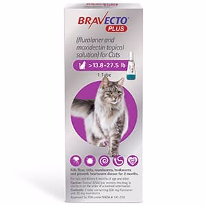 Rx BRAVECTO Plus Topical, Cat - Buy Pet Shop