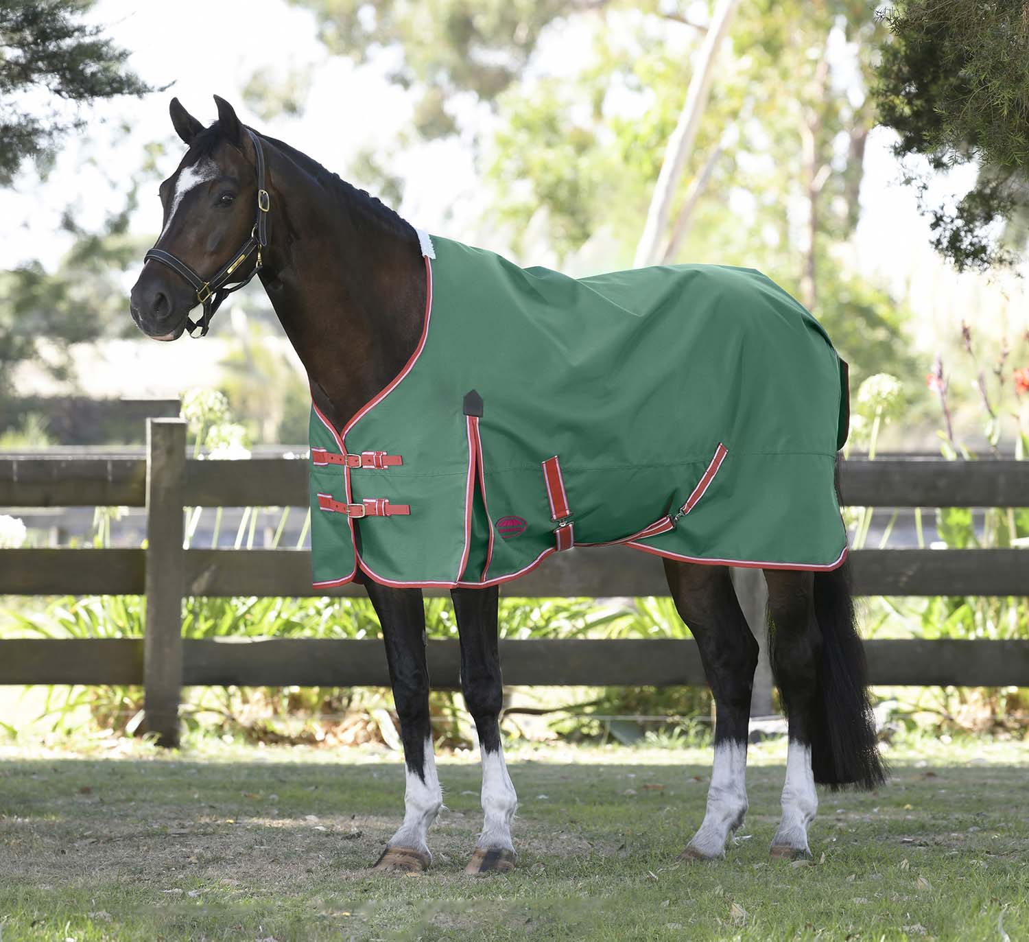 WeatherBeeta ComFITec Prelim Standard Neck Horse Turnout Blanket, Medium Weight - Buy Pet Shop