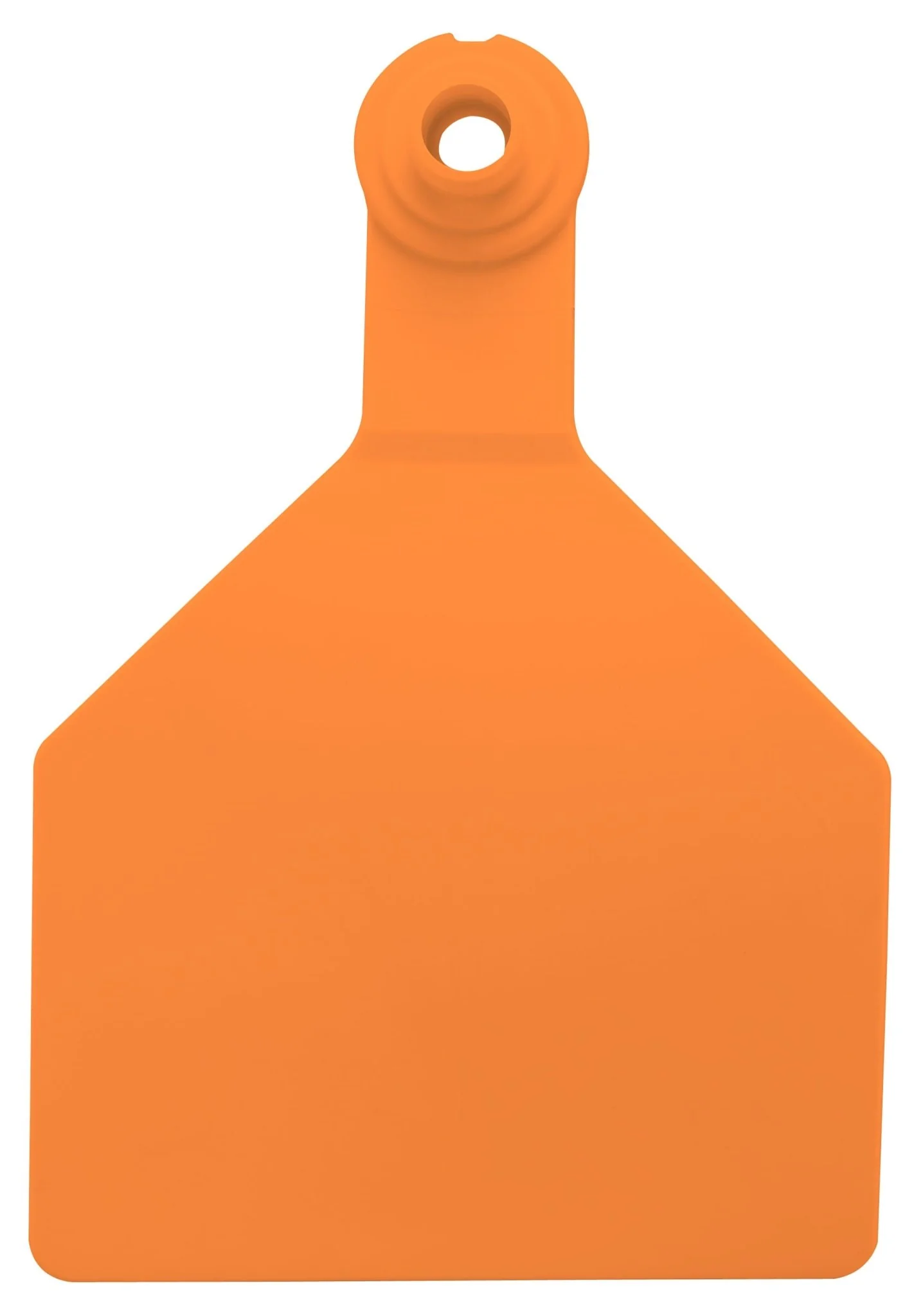 Z2 Tags - Stockman 2-Piece Blank Tags, 25 ct - Buy Pet Shop