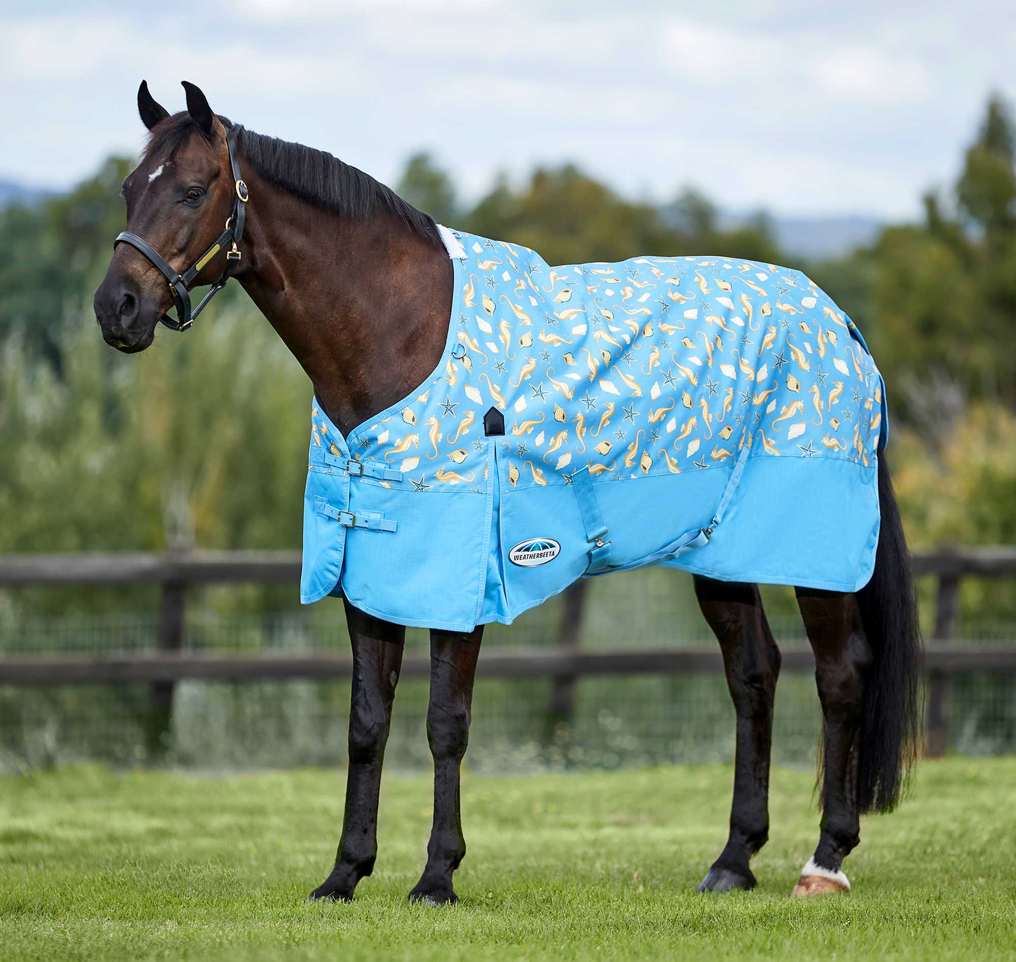 WeatherBeeta ComFITec Essential Standard Neck Lite Horse Fly Sheet, Seahorse - Buy Pet Shop