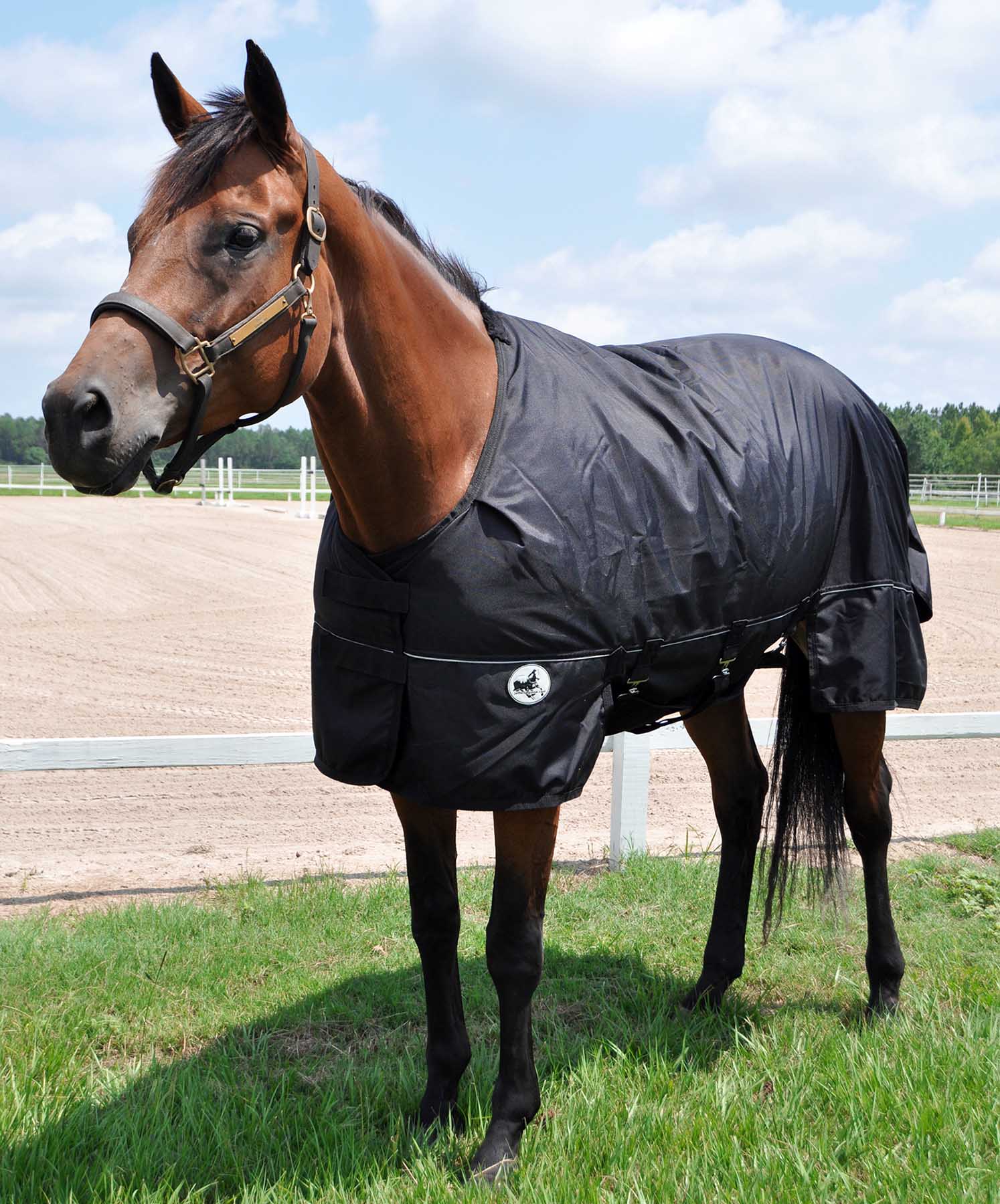 Supreme Plus 1680 Denier Heavy Weight Horse Turnout Blanket, 360 gram fill, Blk/Blk - Buy Pet Shop