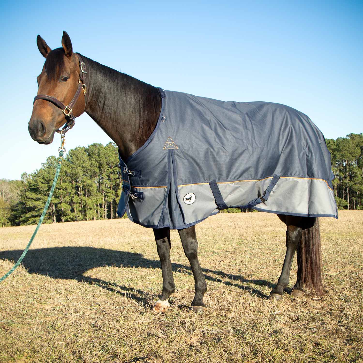 Economy Plus 1200 Denier Turnout Blanket with Standard Neck, 240 Gram, Navy & Gray - Buy Pet Shop