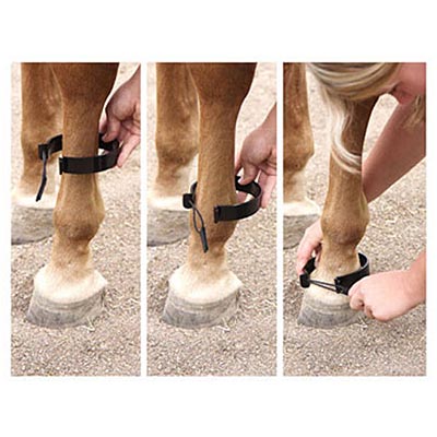 Paw-B-Gone Horse Ankle Bands, Pair - Buy Pet Shop